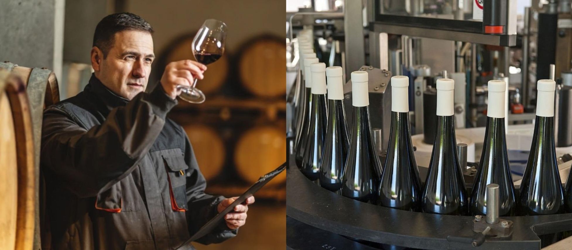 Photo for: Ensuring Quality: Control Concerns and Proper Bottling Procedures for Own-Label Wine Suppliers