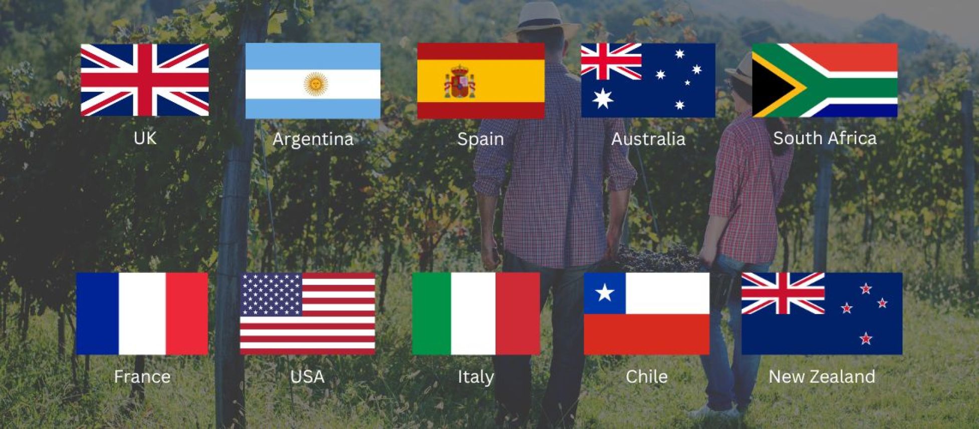 Photo for: The 10 most important global wine trends driving the bulk wine market