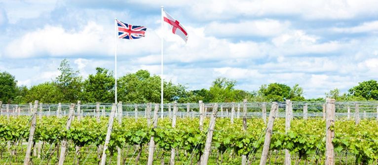 Photo for: The Pride of English Wines: History, Terroir, Varietals, and Vintages
