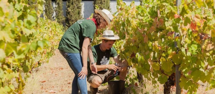 Photo for: IBWSS returns to the UK alongside breakthrough UK Trade Tasting event