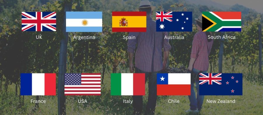 Photo for: The 10 most important global wine trends driving the bulk wine market